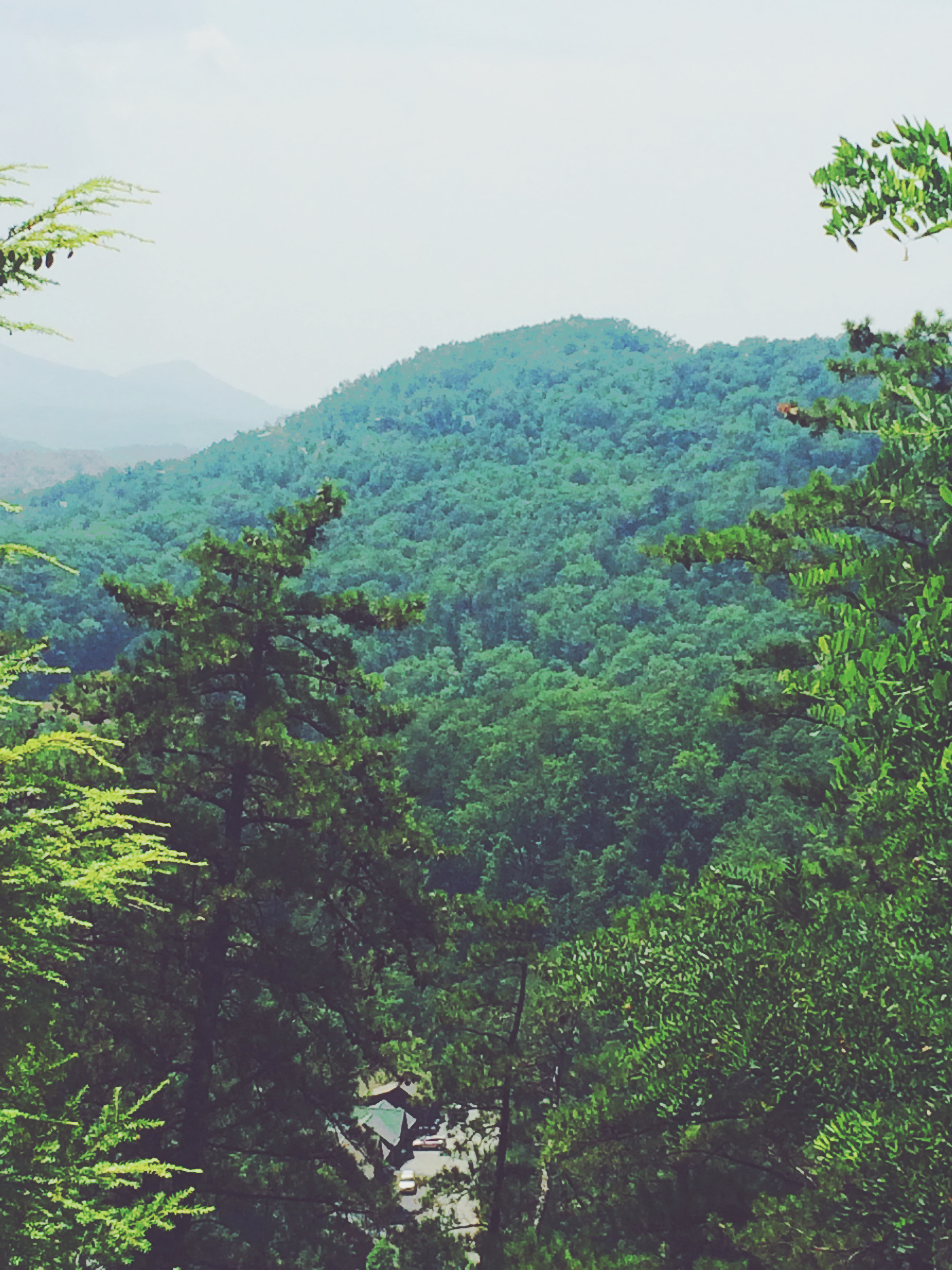 My Tennessee Vacation (& Cupcakes!) // via eyelinerwingsandprettythings 