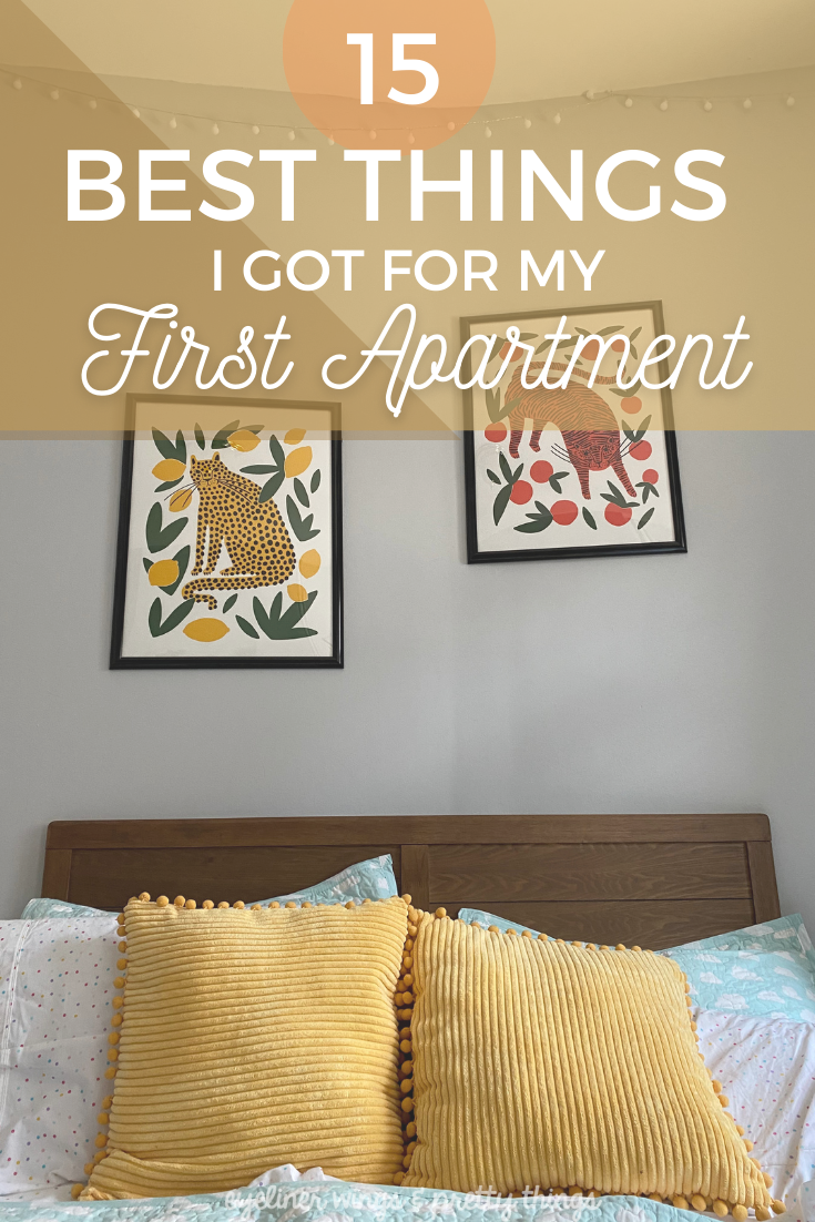 15 of the best things I got for my first apartment - first apartment checklist in your 20s