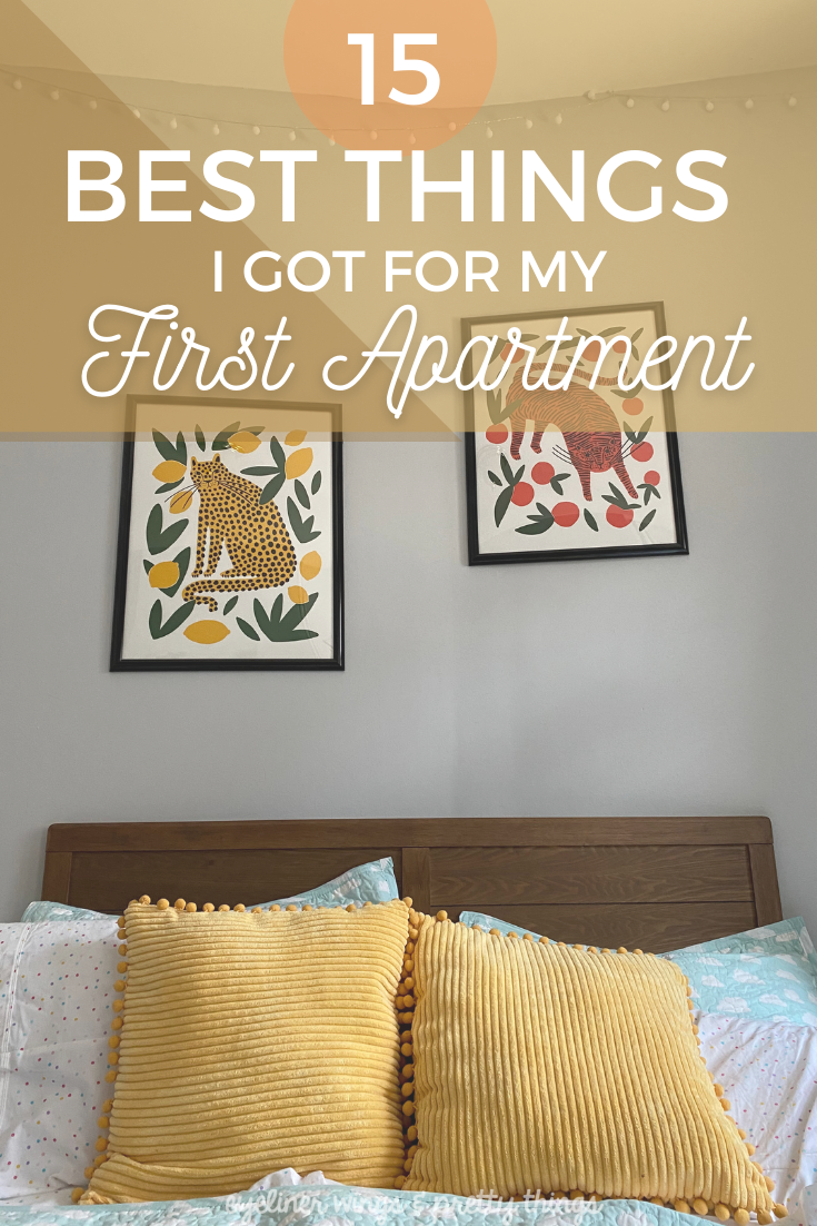 The Best First Apartment Checklist